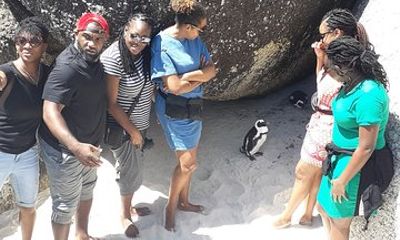 Cape peninsula tour
