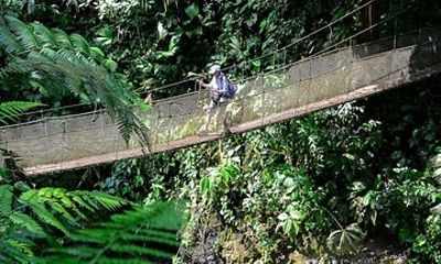 Rainmaker Waterfalls and Hanging Bridges from Manuel Antonio