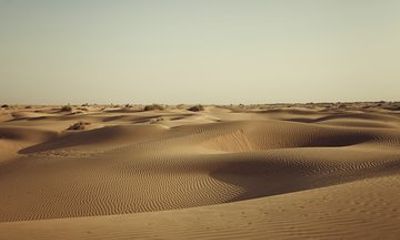 6 Days Rajasthan Desert Private Tour from Jodhpur to Jaipur