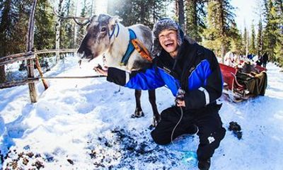 Snowmobile Safari to Reindeer and Husky Farms - Rovaniemi