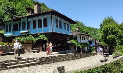 Skip the Line: Tour in Open Air Ethnographic Museum ETAR + ticket
