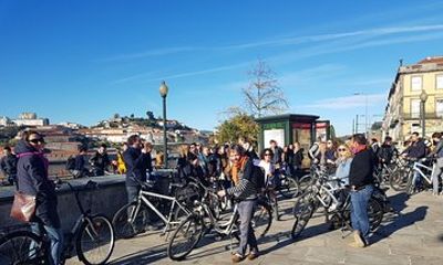 Half-Day Guided Tour - Mysteries of the Sea by Bike