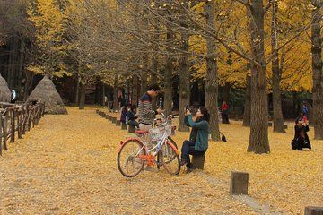 Private Day Tour Nami Island