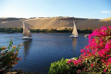 Sail to Banana and Camel Islands on a Classic Felucca