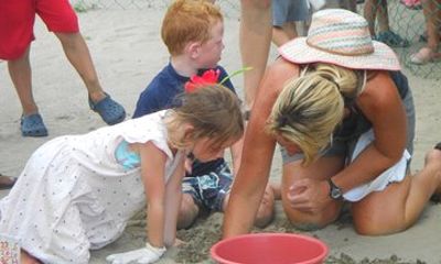 Ixtapa Zihuatanejo Baby Turtle Release