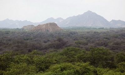 Pomac Forest Historic Sanctuary & Sican Museum
