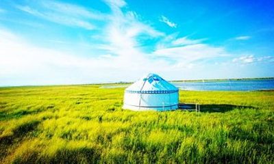 Inner Mongolia 2 Full Days Tour to Grassland and Hohhot