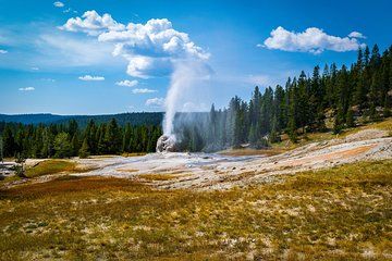 Yellowstone Full Day Private Tour & Hike - Pickup from Gardiner