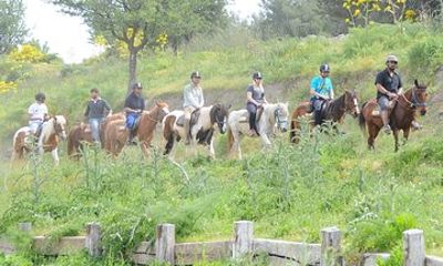 Horse Riding in Kemer with Hotel transfer