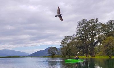 Yojoa Lake Day Trip from Tegucigalpa