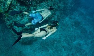 Turtles and Tacos Snorkel and Catamaran Sail from Westin St. John