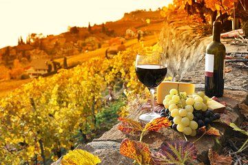 Truffle and Brunello Sommelier Vip Experience in Tuscany Lands from Rome