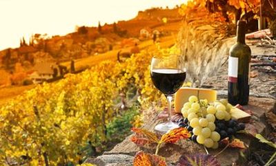 Truffle and Brunello Sommelier Vip Experience in Tuscany Lands from Rome
