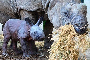 Offer Summer Terra Natura entrance ticket