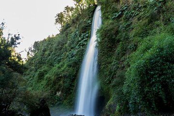 Coastal Nature Adventure in Chiloe