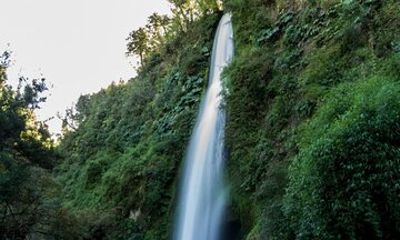 Coastal Nature Adventure in Chiloe
