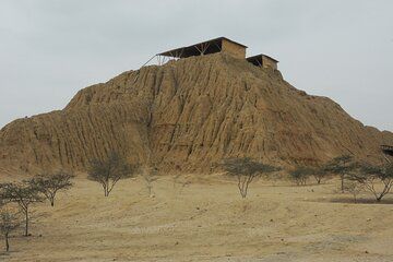 Half-day private tour to Túcume and the Site Museum