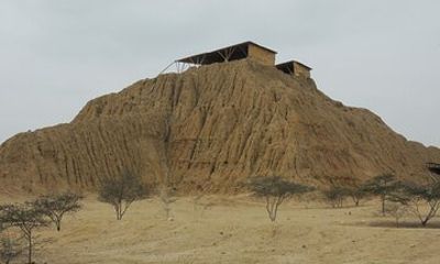 Half-day private tour to Túcume and the Site Museum