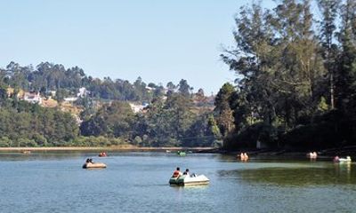 Touristic Highlights of Ooty (Guided Full Day City Sightseeing Tour by Car)