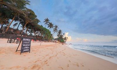 Southern Coast Highlights from Unawatuna