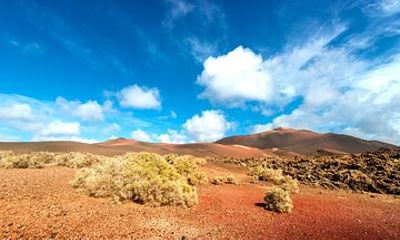 Timanfaya & Lanzarote Volcano Experience