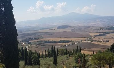 Tour Livorno Pisa e Florence