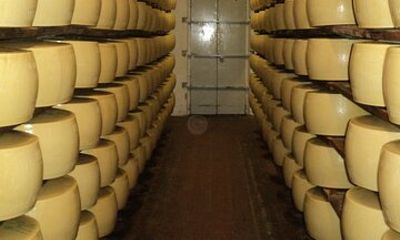 Parmigiano Reggiano and Parma ham tour