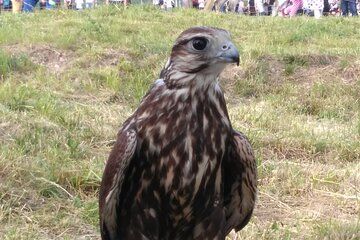 Hotalich Fortress Self-Guided
