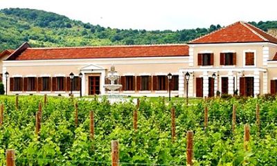 Midalidare Estate Wine Tasting & Activities