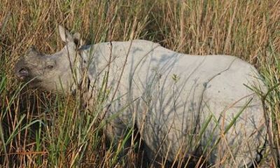 Meghalaya With Kaziranga from Guwahati