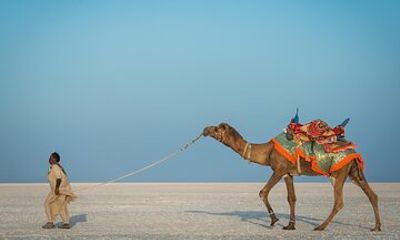 Bhuj to White Rann of Kutch