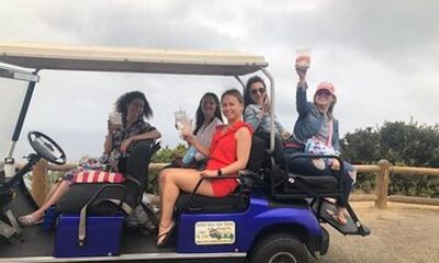 Catalina Island Private Guided Golf Cart Tour of Avalon