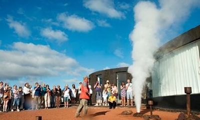 Tour Lanzarote South with Winery Visit