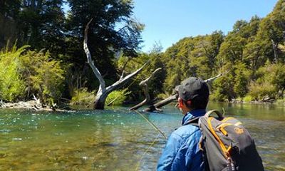 Half day: Initiation in fly fishing in Villa La Angostura