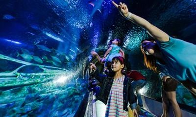 SEA LIFE Aquarium Arizona Admission Ticket