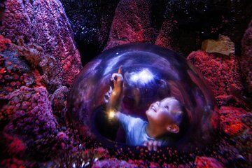 SEA LIFE Aquarium Minnesota Admission Ticket at Mall of America
