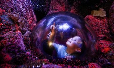 SEA LIFE Aquarium Minnesota Admission Ticket at Mall of America