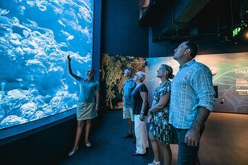 Cairns Aquarium by Twilight Tour and 3-Course Dinner