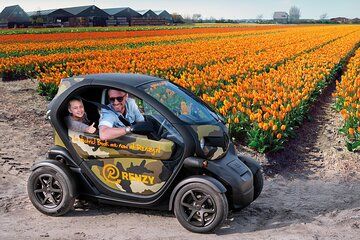 Tulip Fields Tour near Keukenhof - Self-drive with Audio Guide