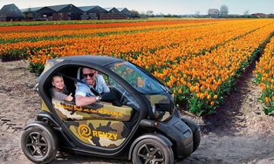 Tulip Fields near Keukenhof - Self-Drive Audio Tour for 2 People
