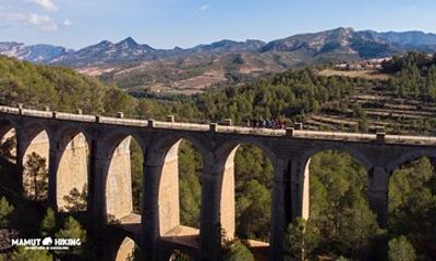 Via Verde Bike Tour to the Ebro Delta