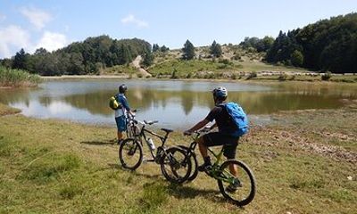 Olympus Mountain Biking - Rides tailored to you