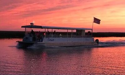 Jekyll Island Dolphin Tours