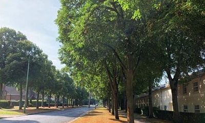 Letchworth Garden City: Self-Guided History Puzzle Walk