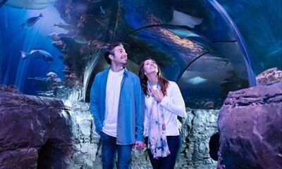 SEA LIFE Aquarium Minnesota Admission Ticket at Mall of America