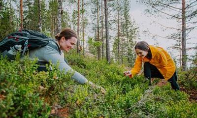 Small-Group Hiking and Cooking Adventure in a Finnish Forest