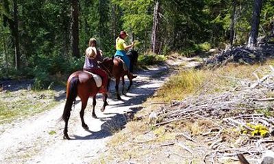 Private Horse Riding Tour To the Perelik Top in Smolyan