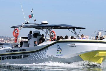 Observation of Dolphins in Setúbal