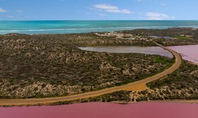 3 Day Pink Lake, Pinnacles and Kalbarri National Park from Perth