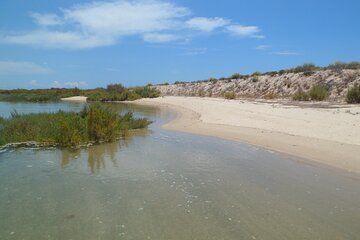Ecofriendly Islands Tour In Ria Formosa at the Solar Boat Faro